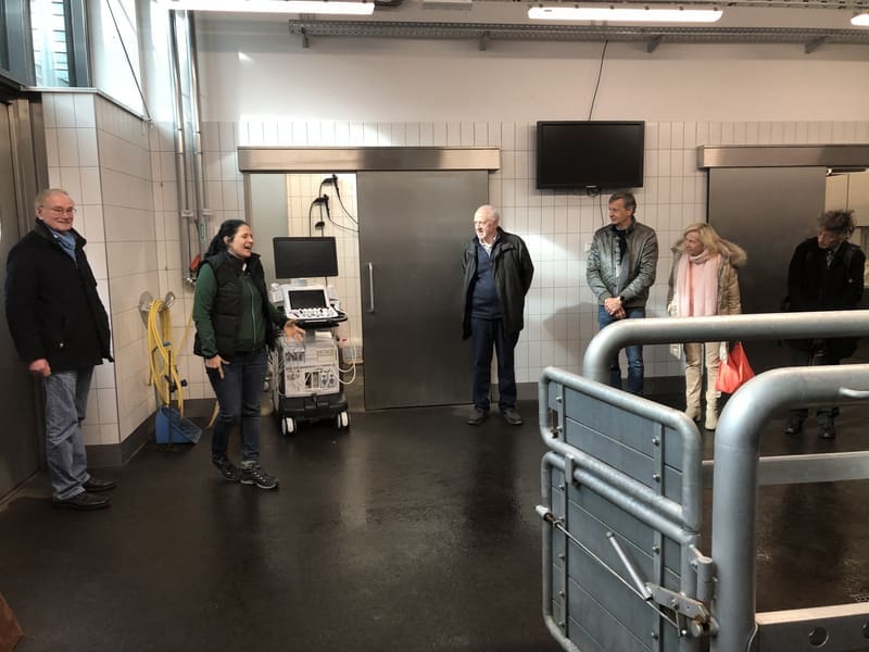 Prof. Angelika Schoster zeigt im OP-Saal für Pferde das Ultraschallgerät.